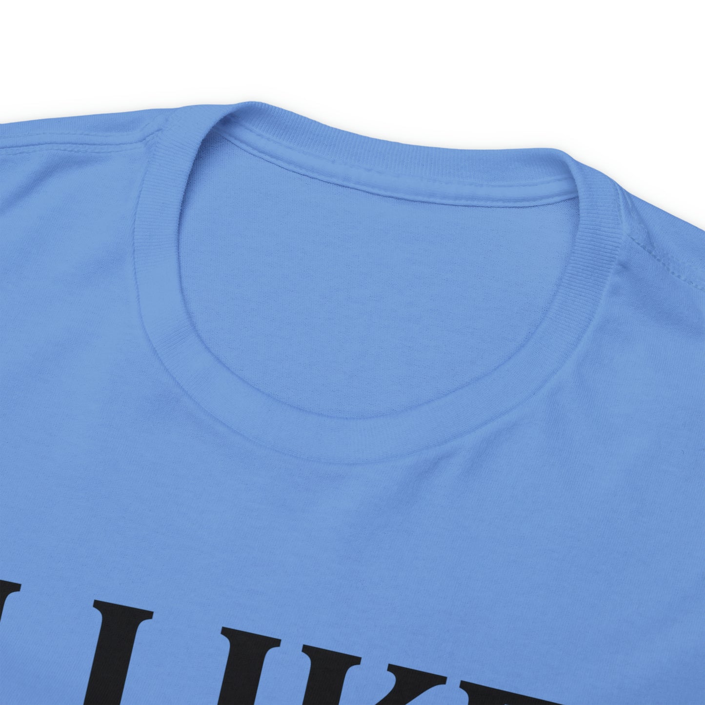 I Like to Stay Home with My Dog Unisex Tee