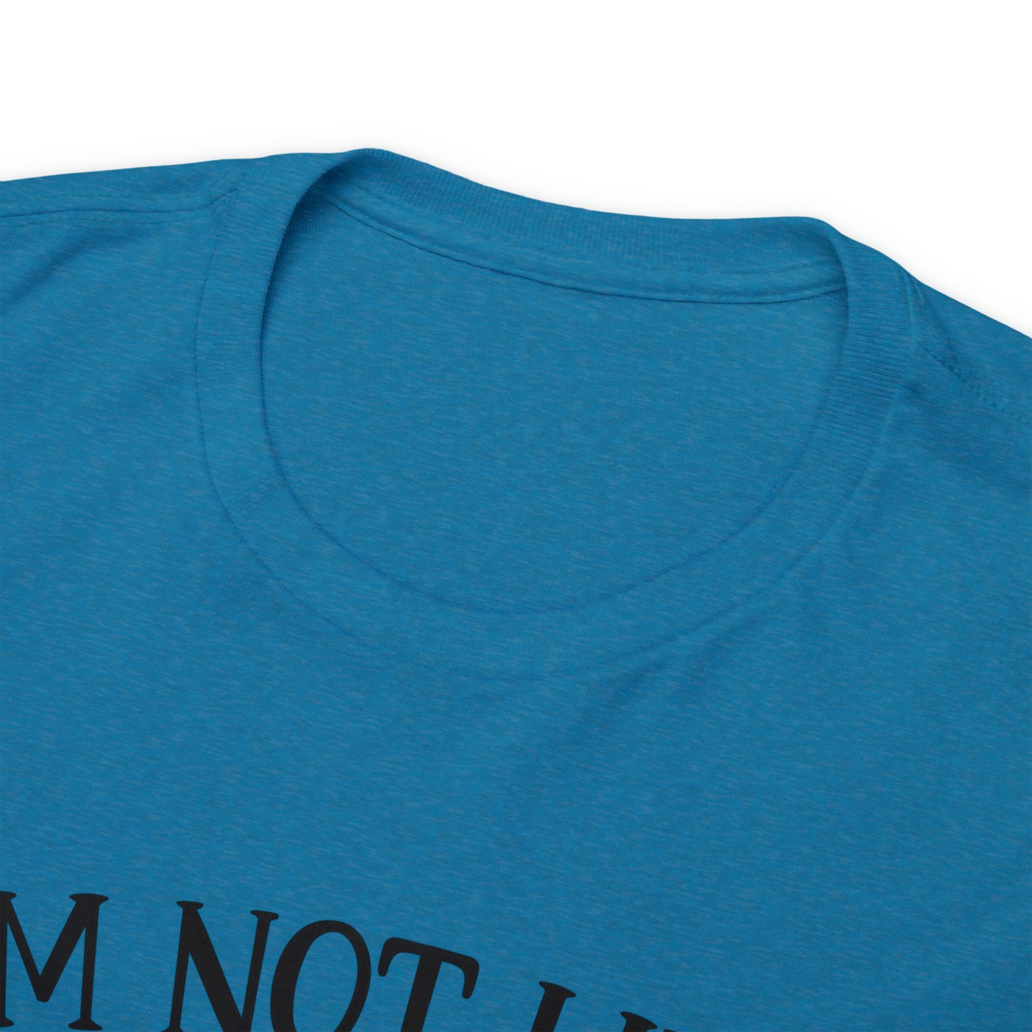 I'm Not Like a Regular Mom I'm a Cat Mom Tee