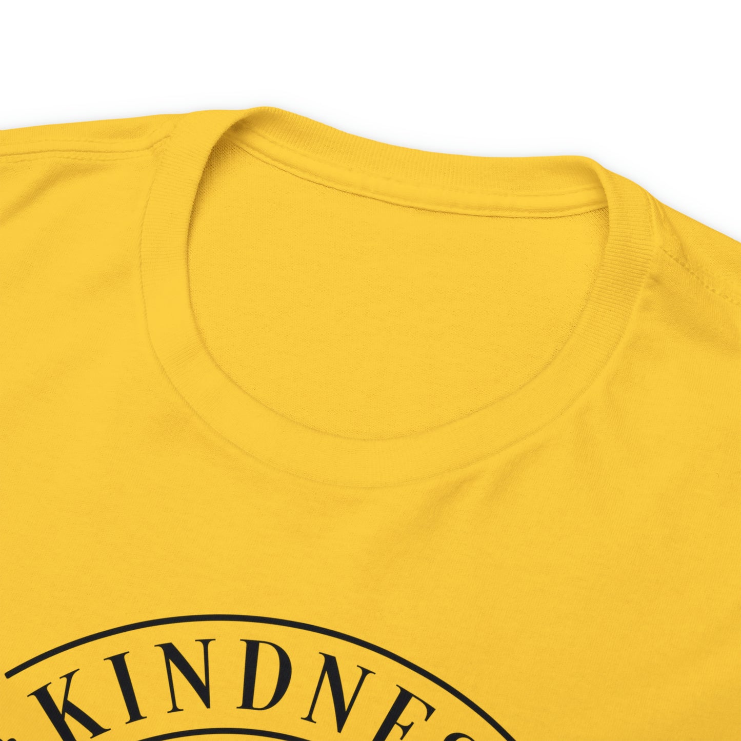 Kindness Matters More Than You Think Tee