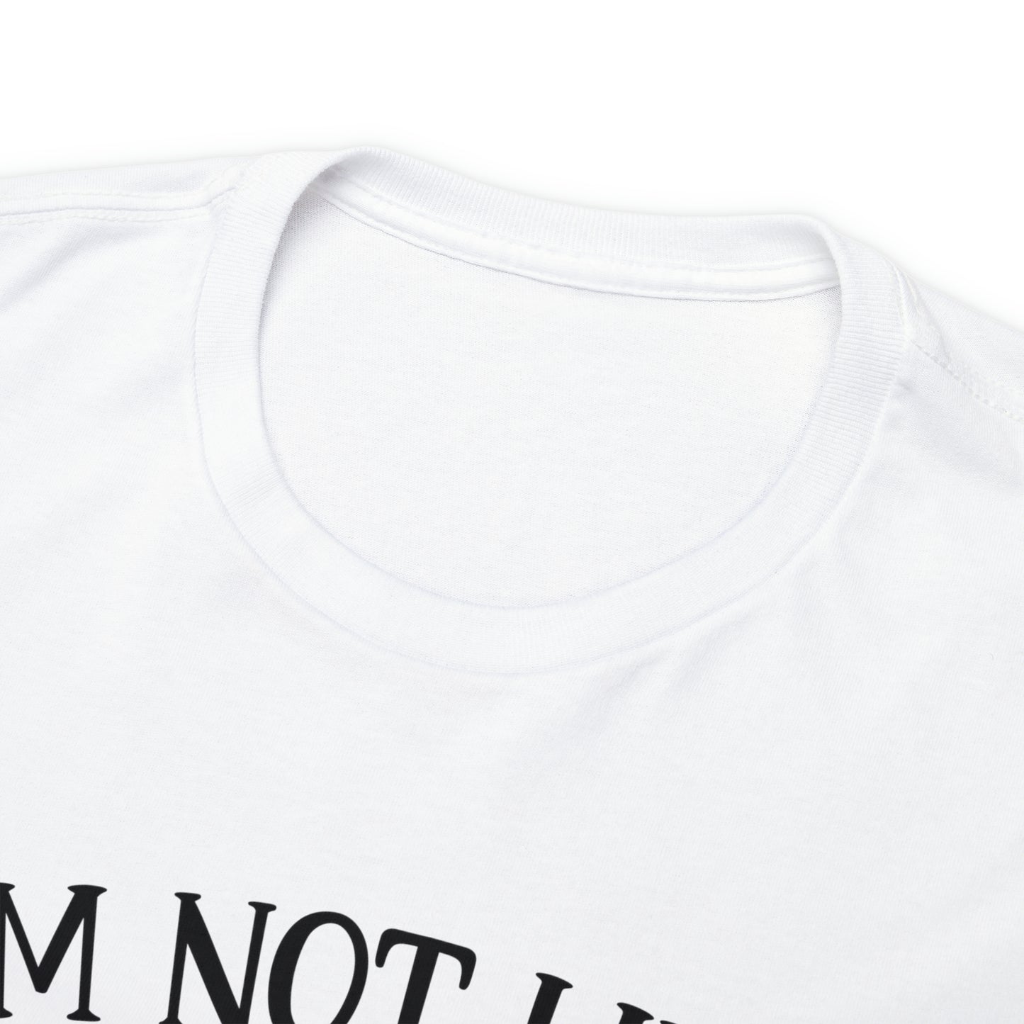 I'm Not Like a Regular Mom I'm a Dog Mom Tee