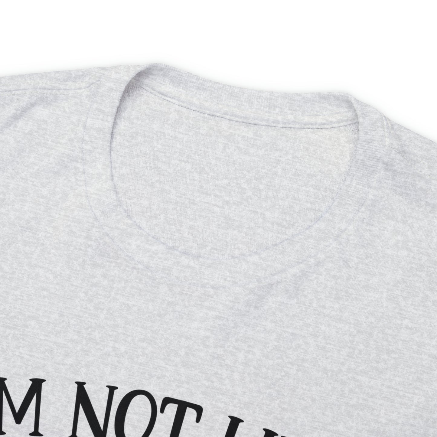 I'm Not Like a Regular Mom I'm a Cat Mom Tee
