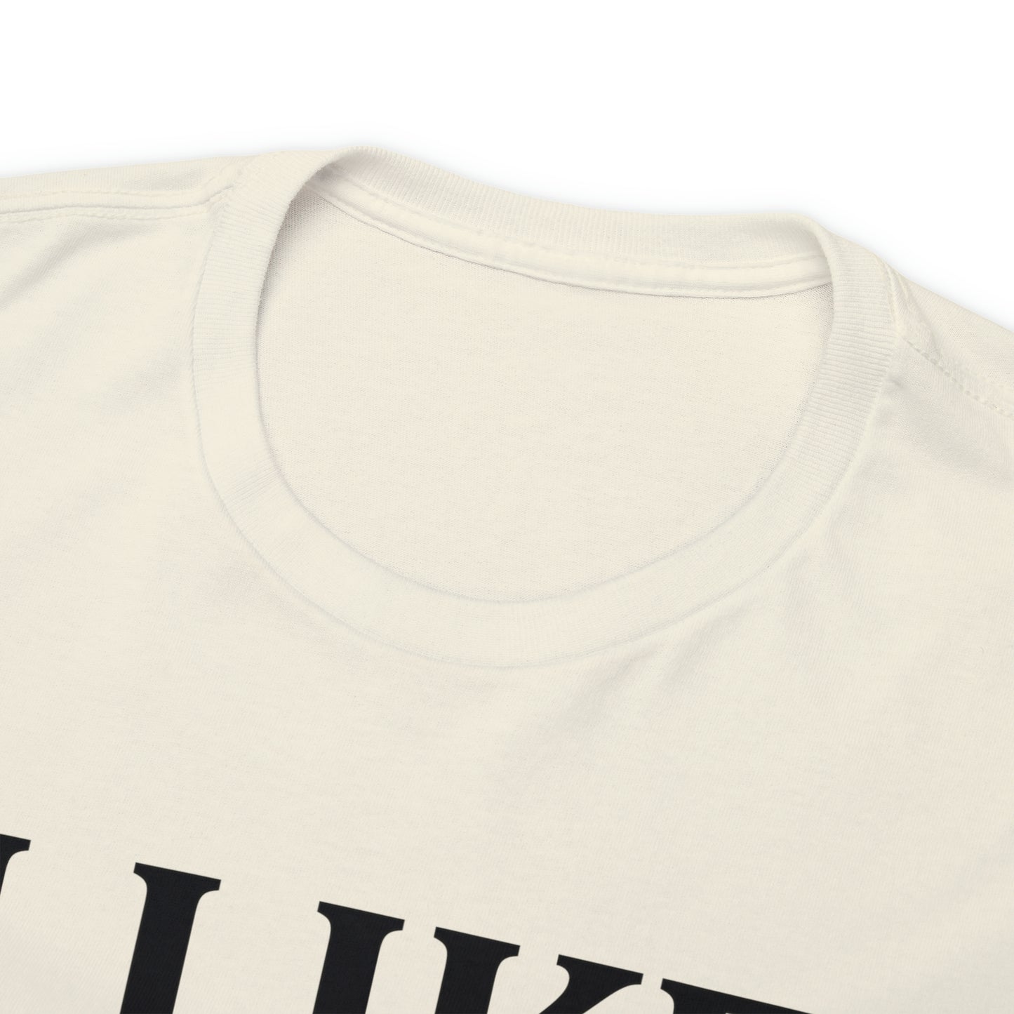 I Like to Stay Home with My Dog Unisex Tee