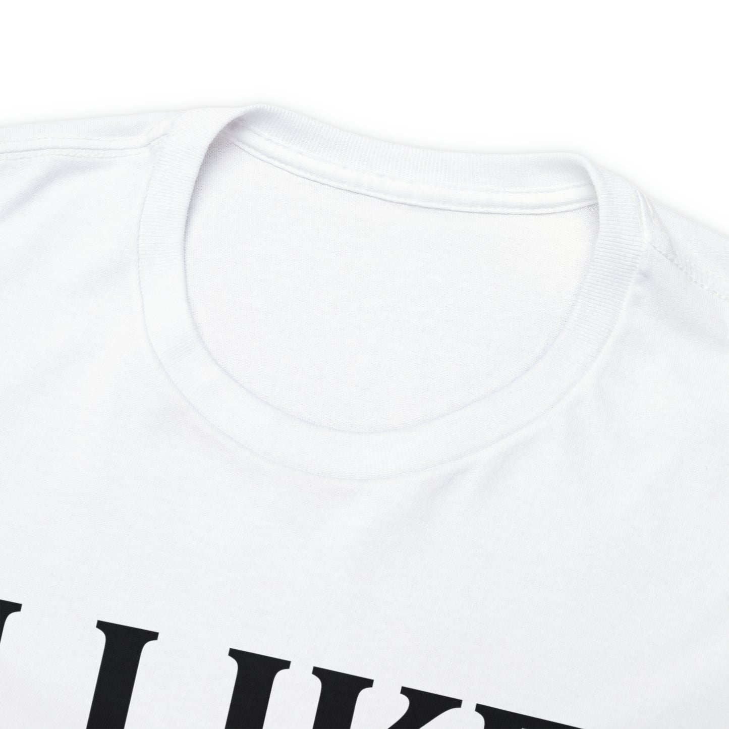 I Like to Stay Home with My Dog Unisex Tee