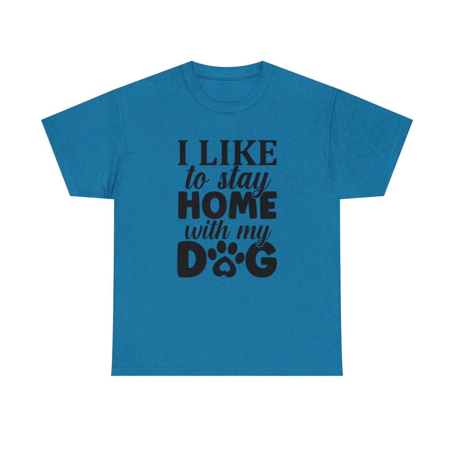 I Like to Stay Home with My Dog Unisex Tee