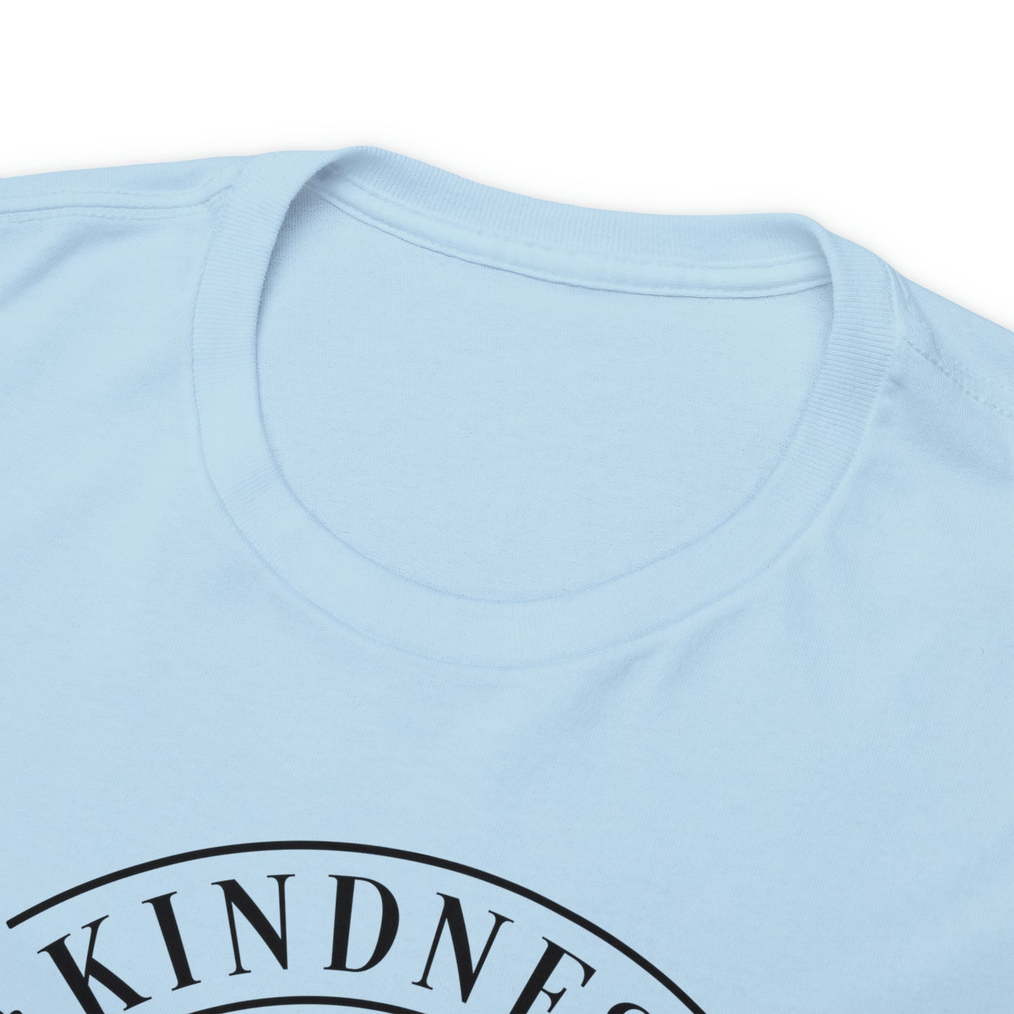 Kindness Matters More Than You Think Tee