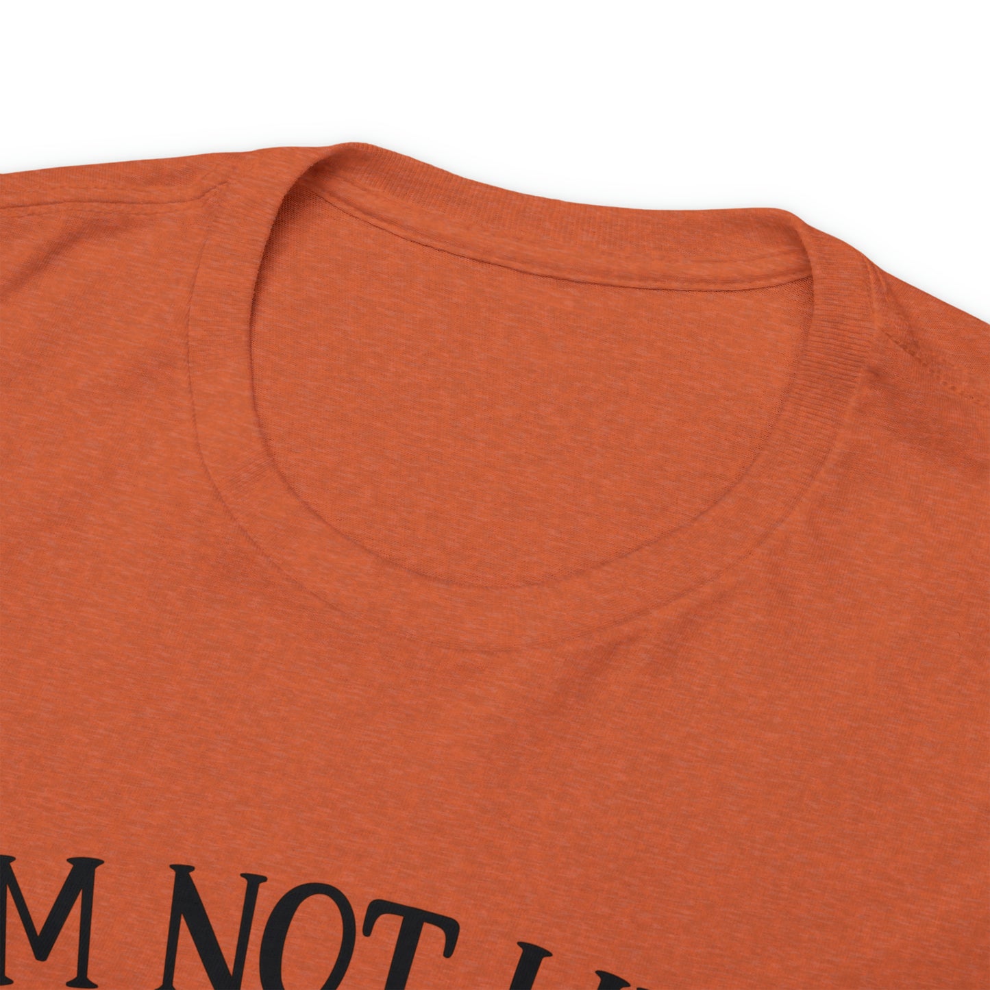 I'm Not Like a Regular Mom I'm a Cat Mom Tee