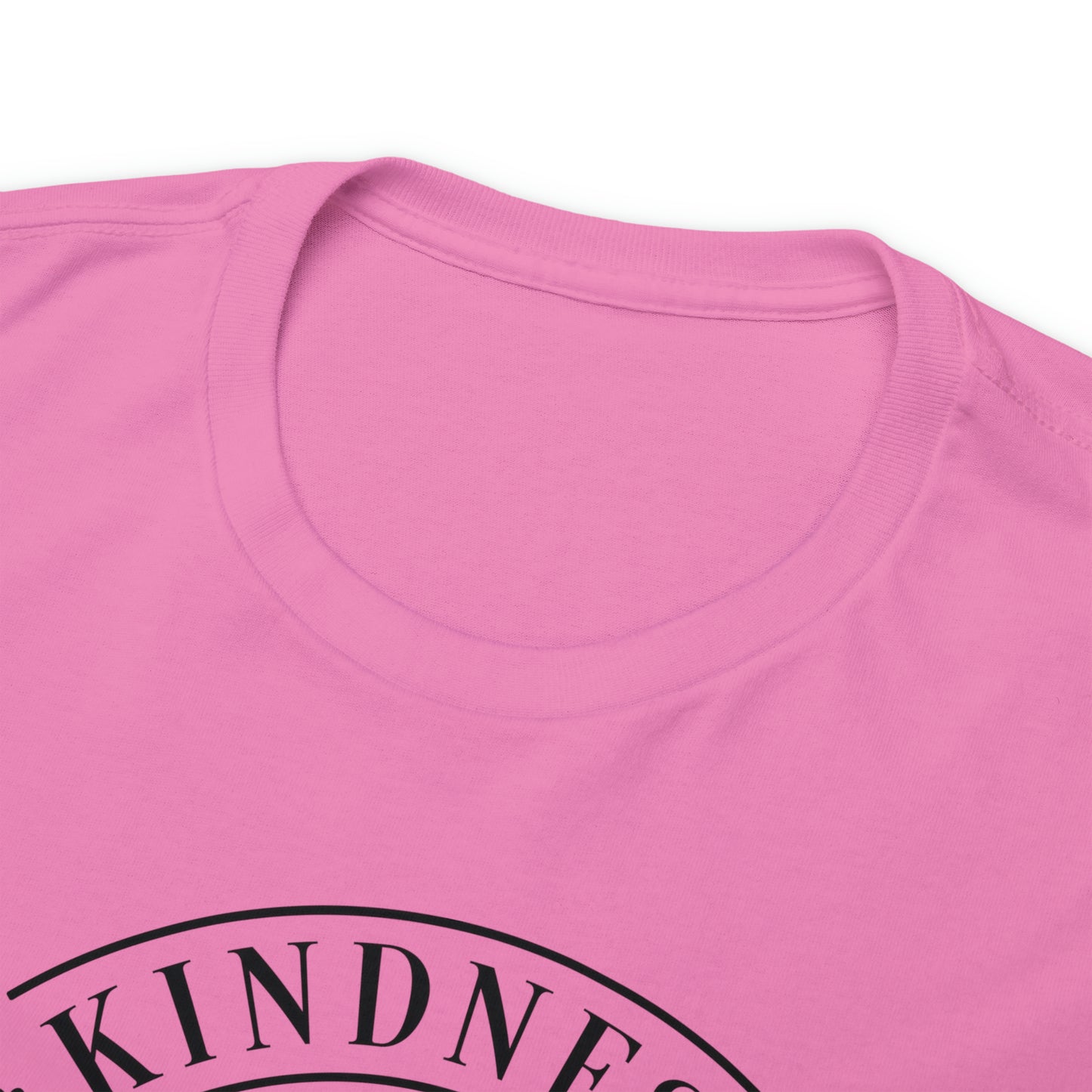 Kindness Matters More Than You Think Tee