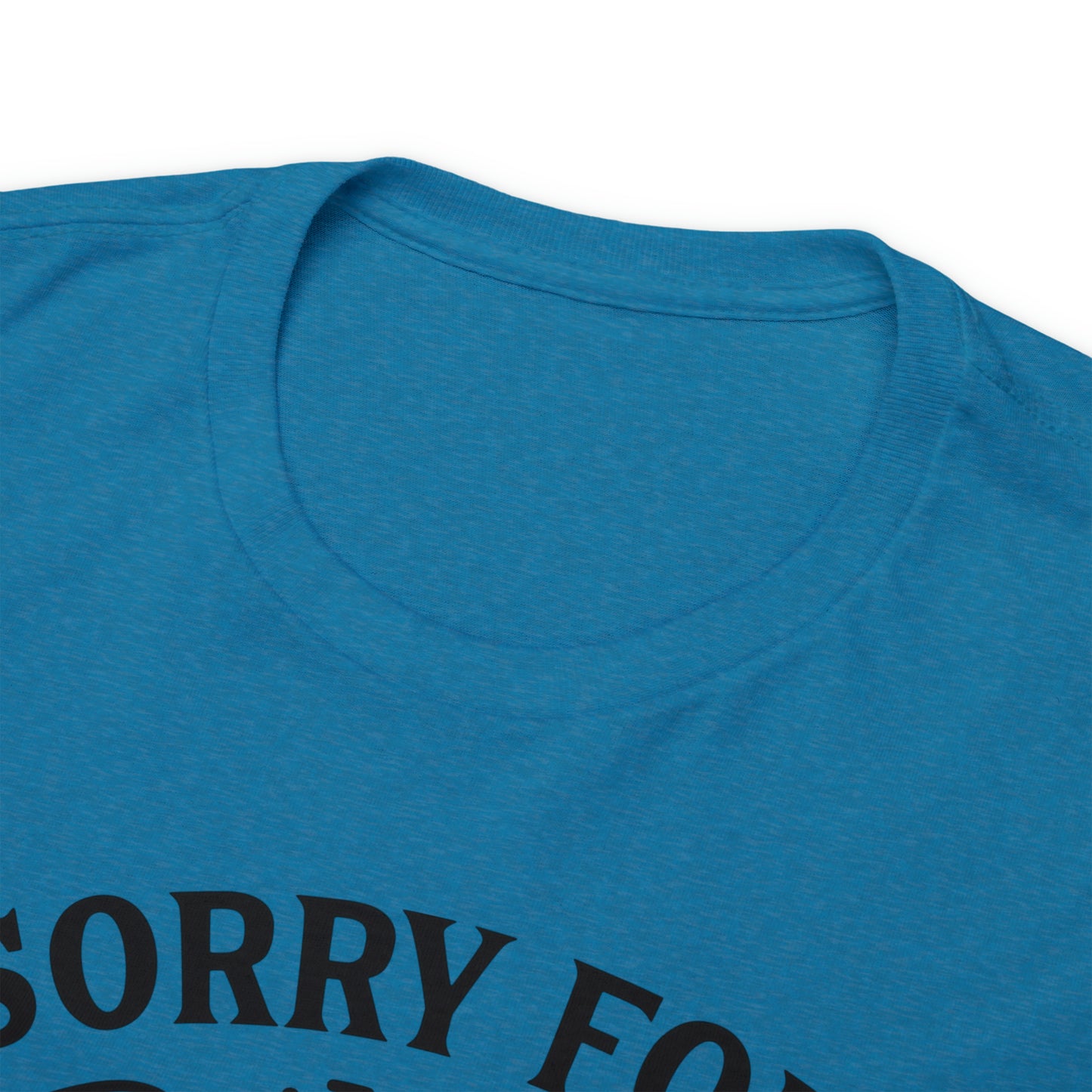 Sorry for the Hurtful Things Tee