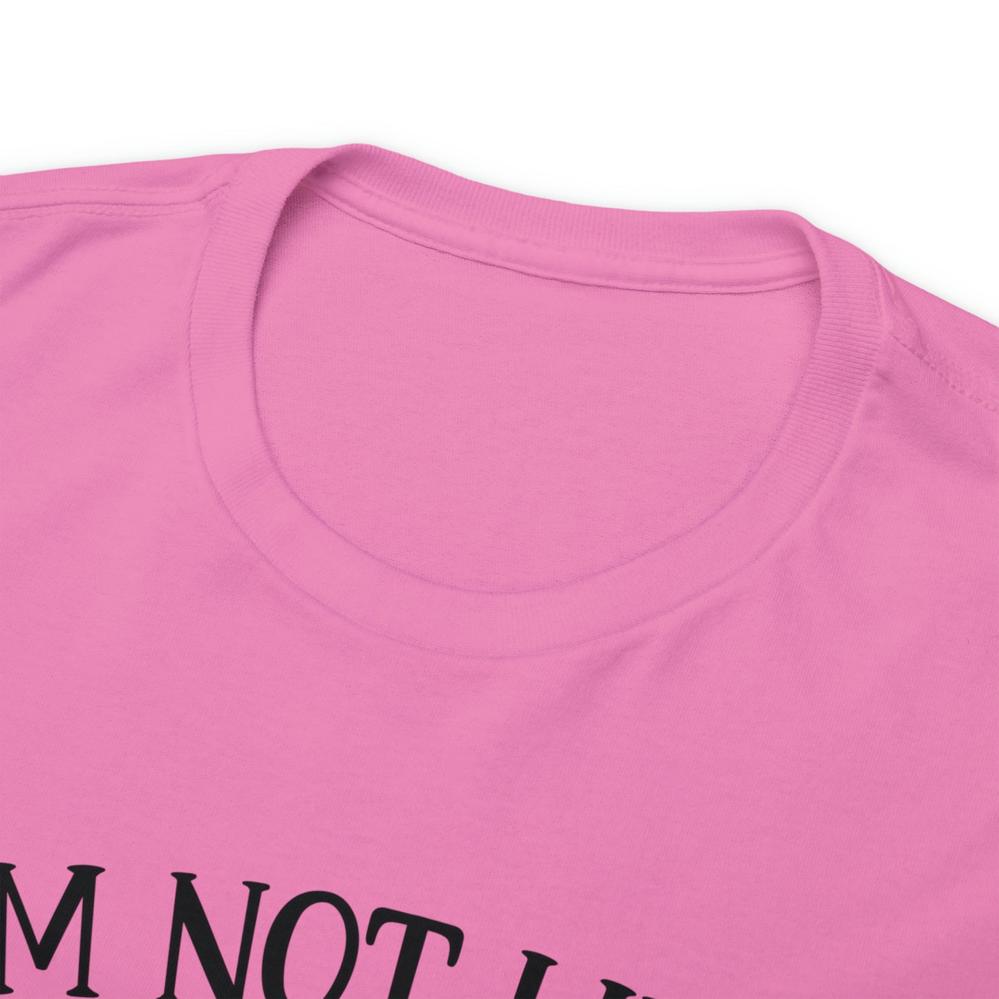 I'm Not Like a Regular Mom I'm a Cat Mom Tee