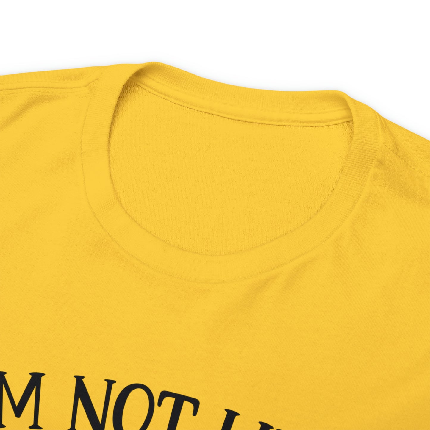 I'm Not Like a Regular Mom I'm a Cat Mom Tee
