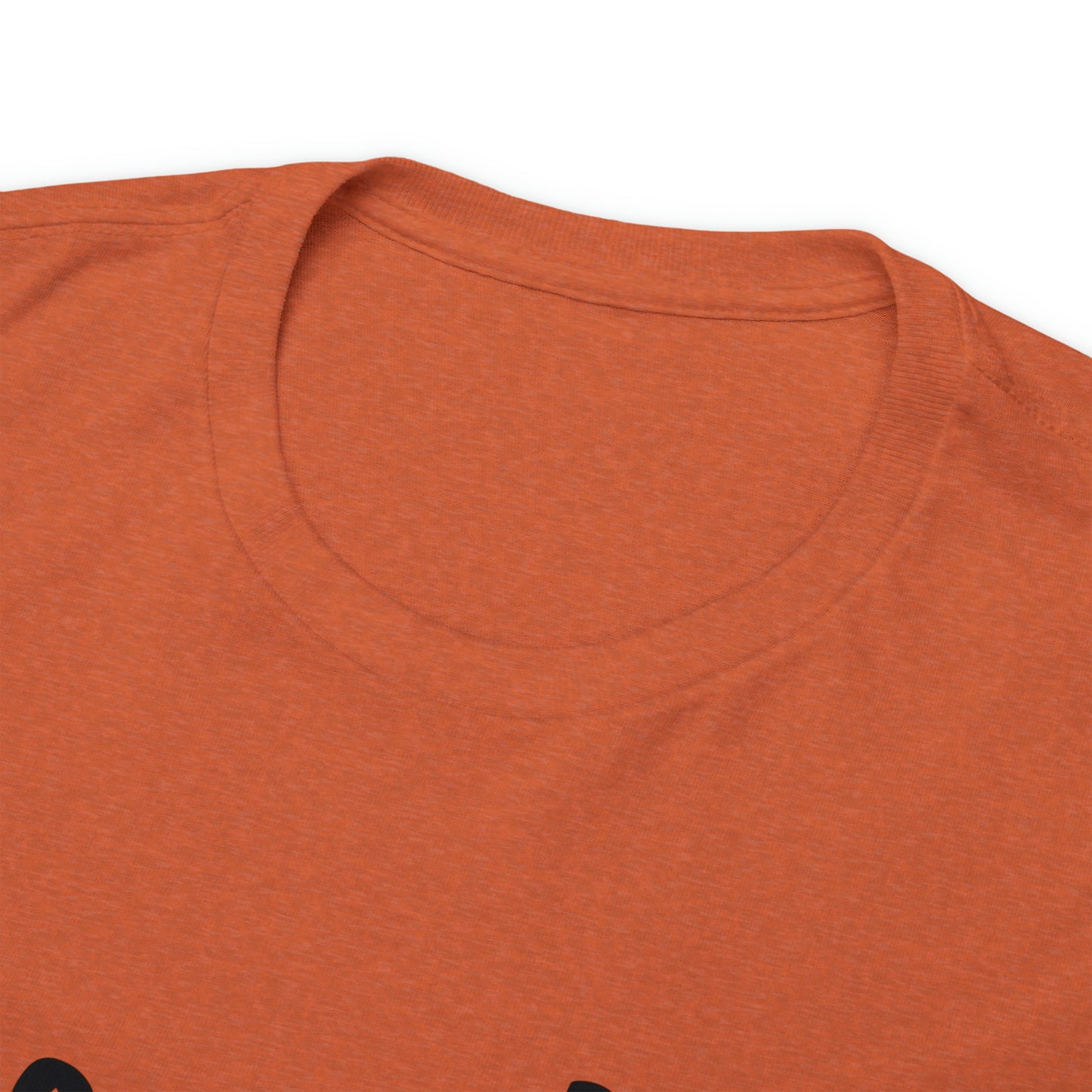 No Outfit Is Complete Without Dog Hair Unisex Tee
