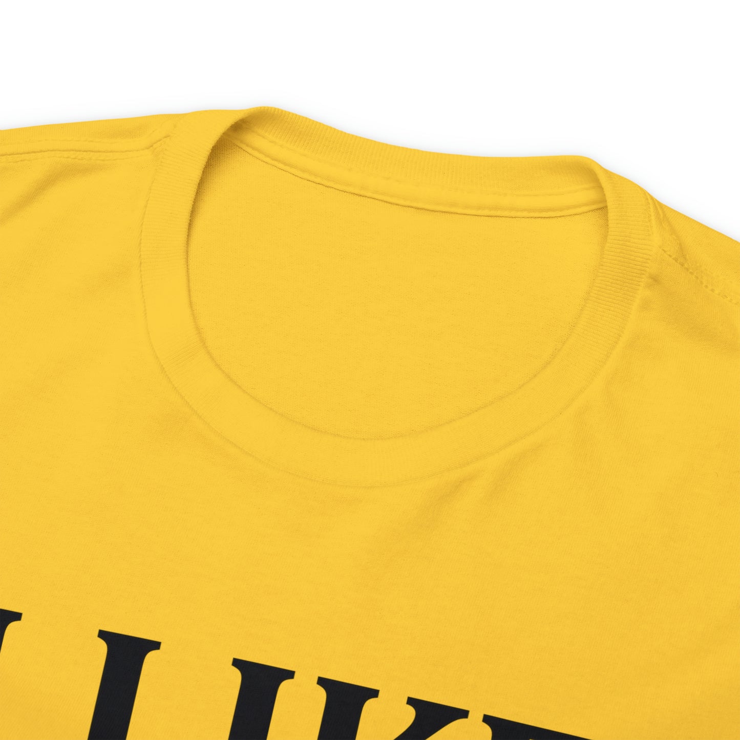 I Like to Stay Home with My Dog Unisex Tee