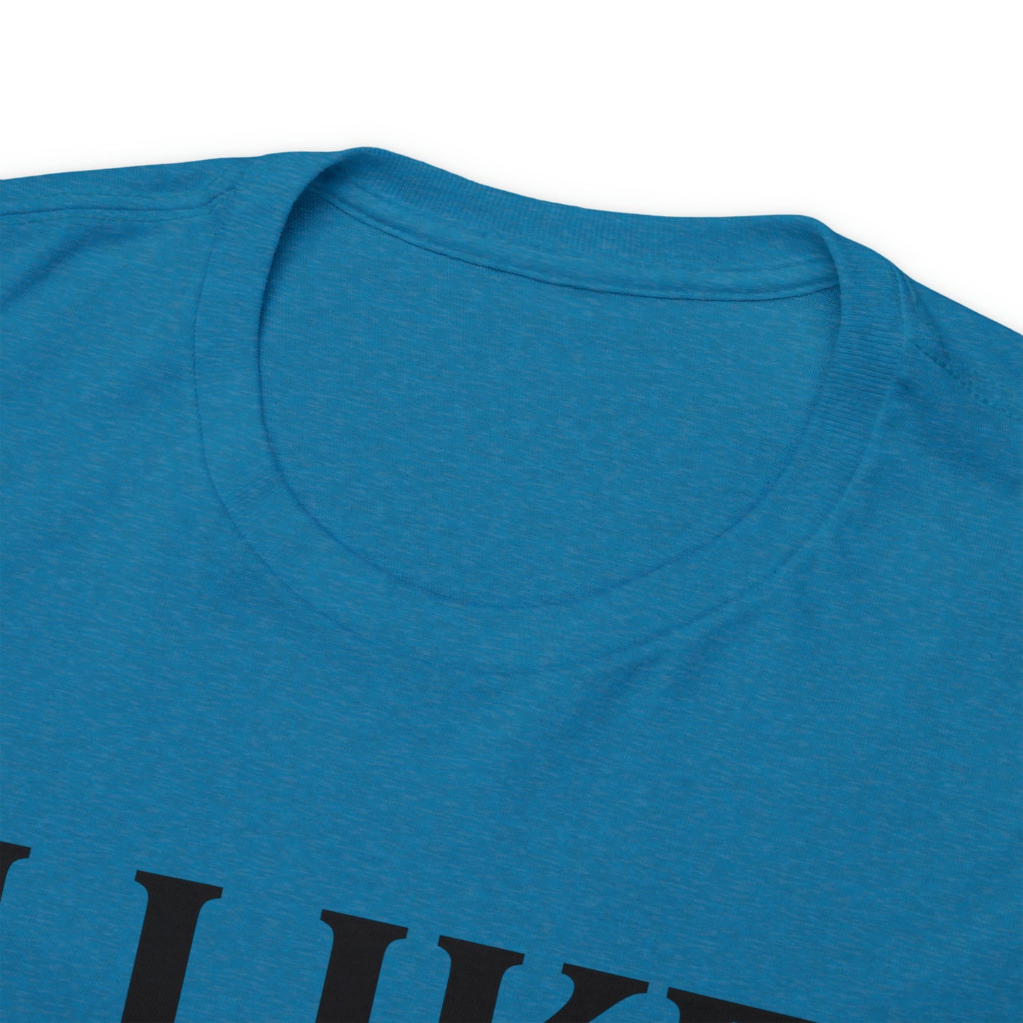 I Like to Stay Home with My Dog Unisex Tee