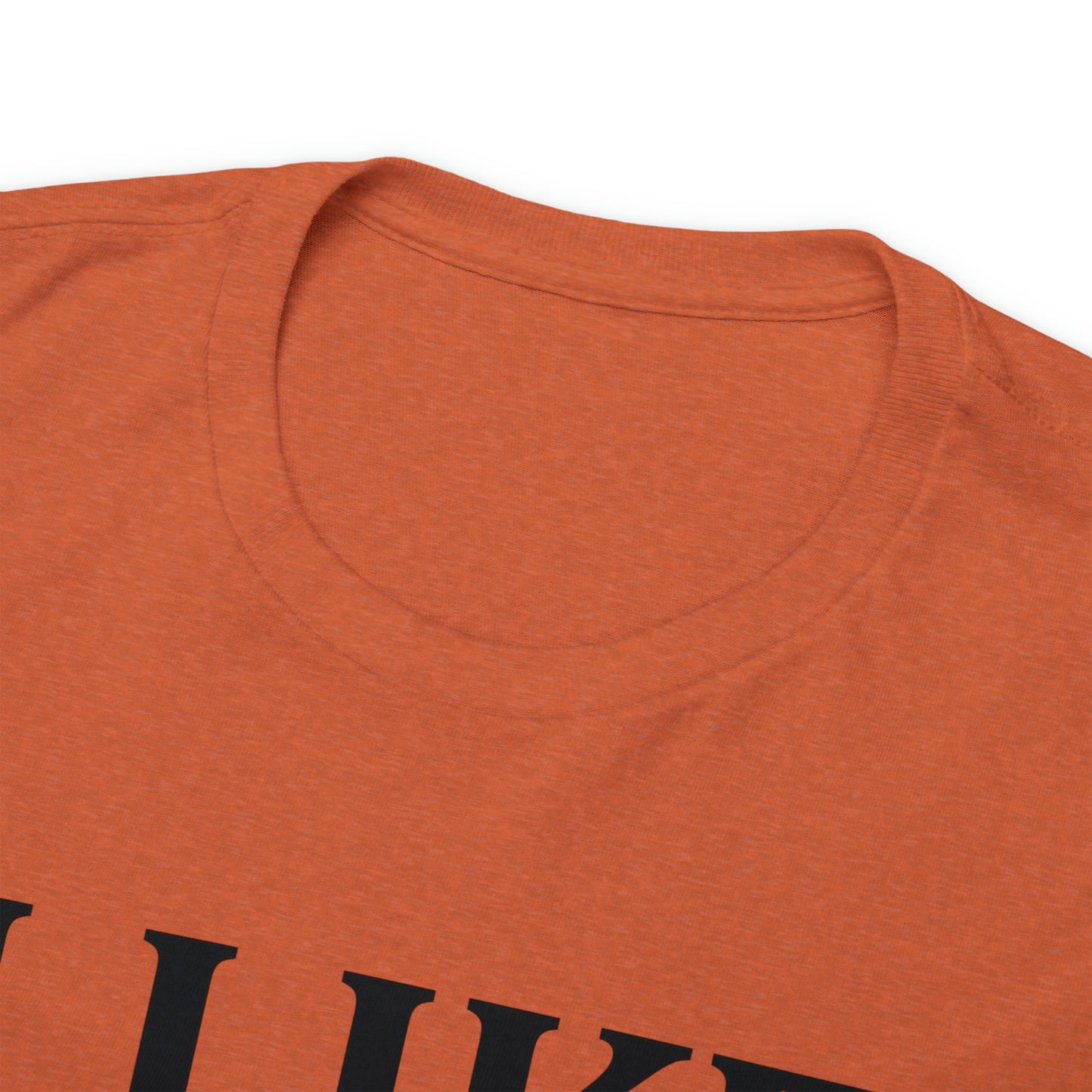I Like to Stay Home with My Dog Unisex Tee