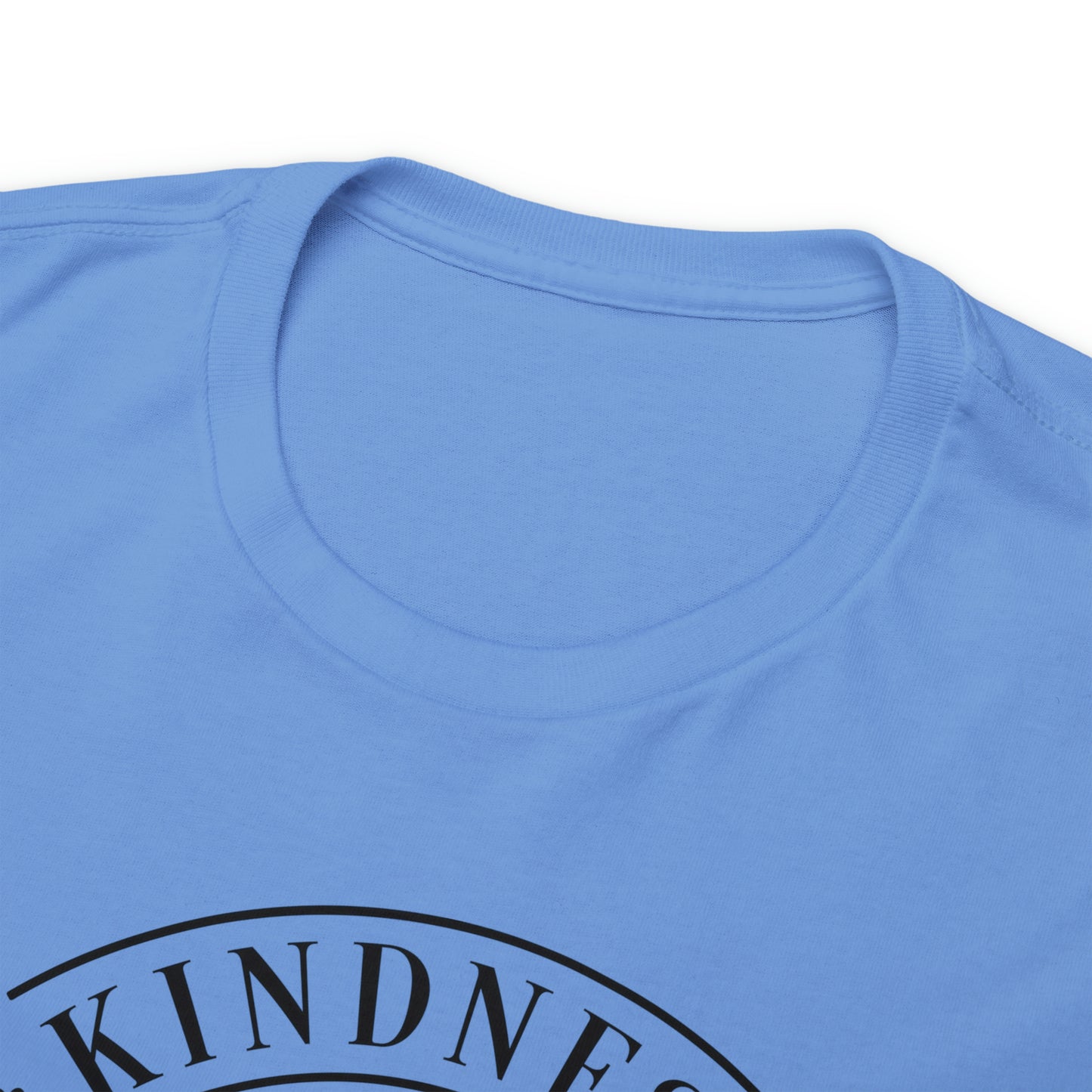 Kindness Matters More Than You Think Tee