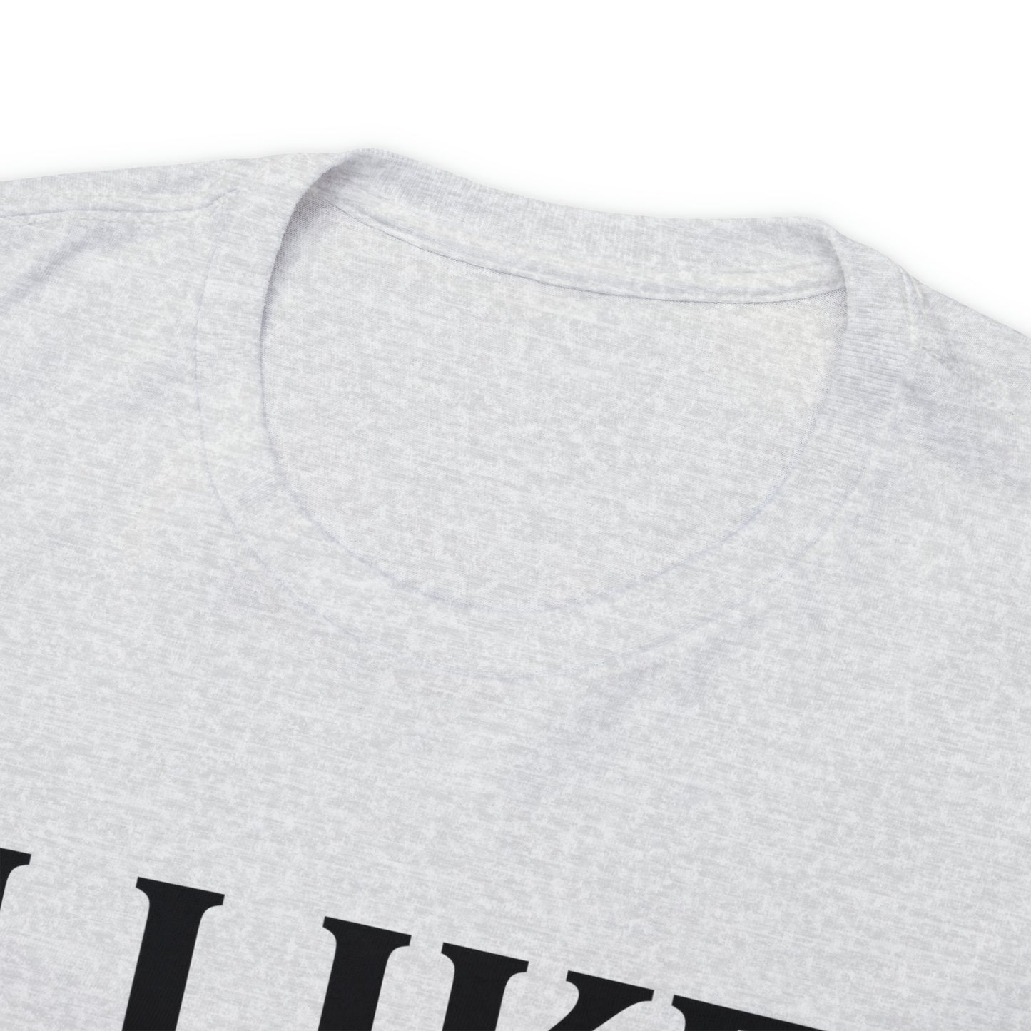 I Like to Stay Home with My Dog Unisex Tee