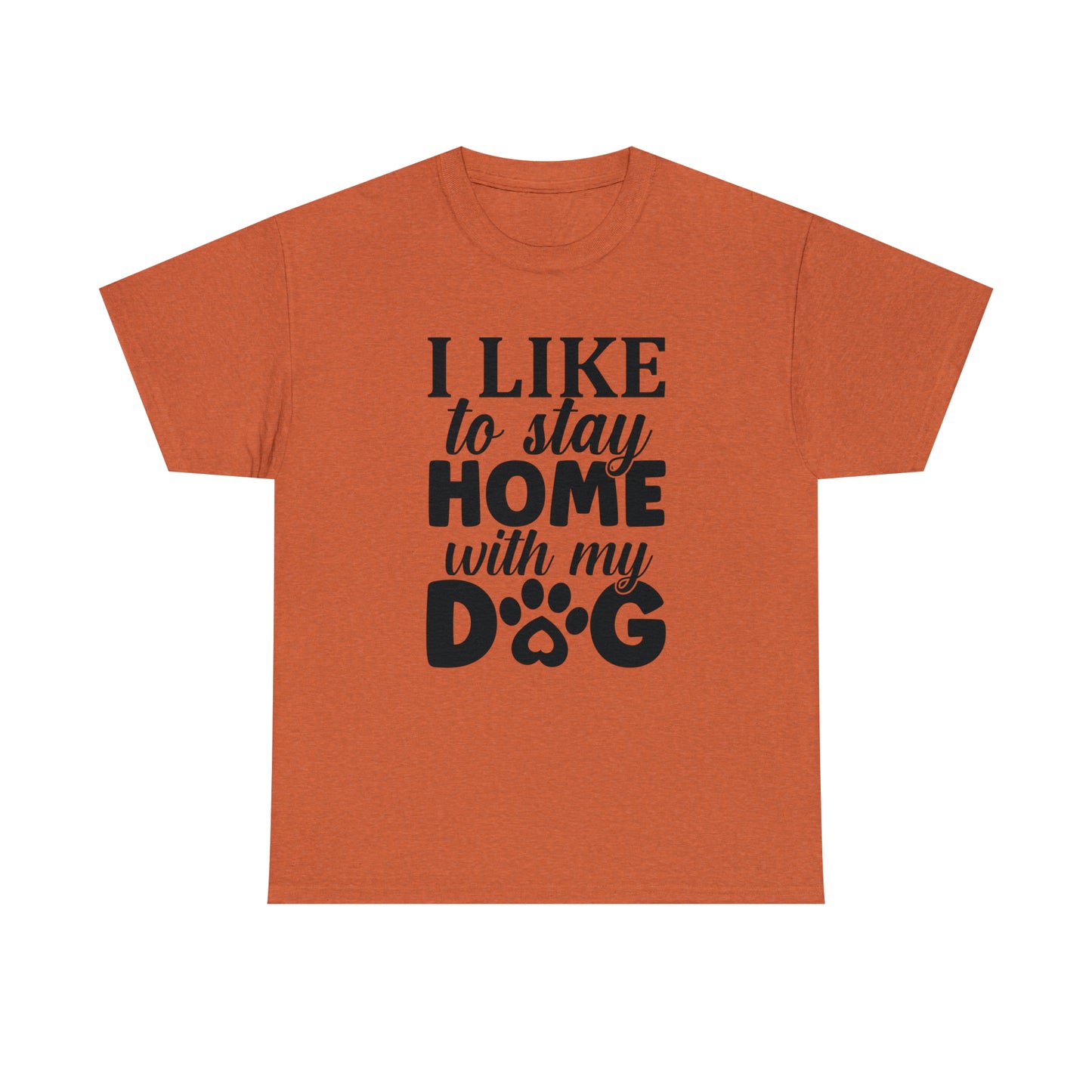 I Like to Stay Home with My Dog Unisex Tee