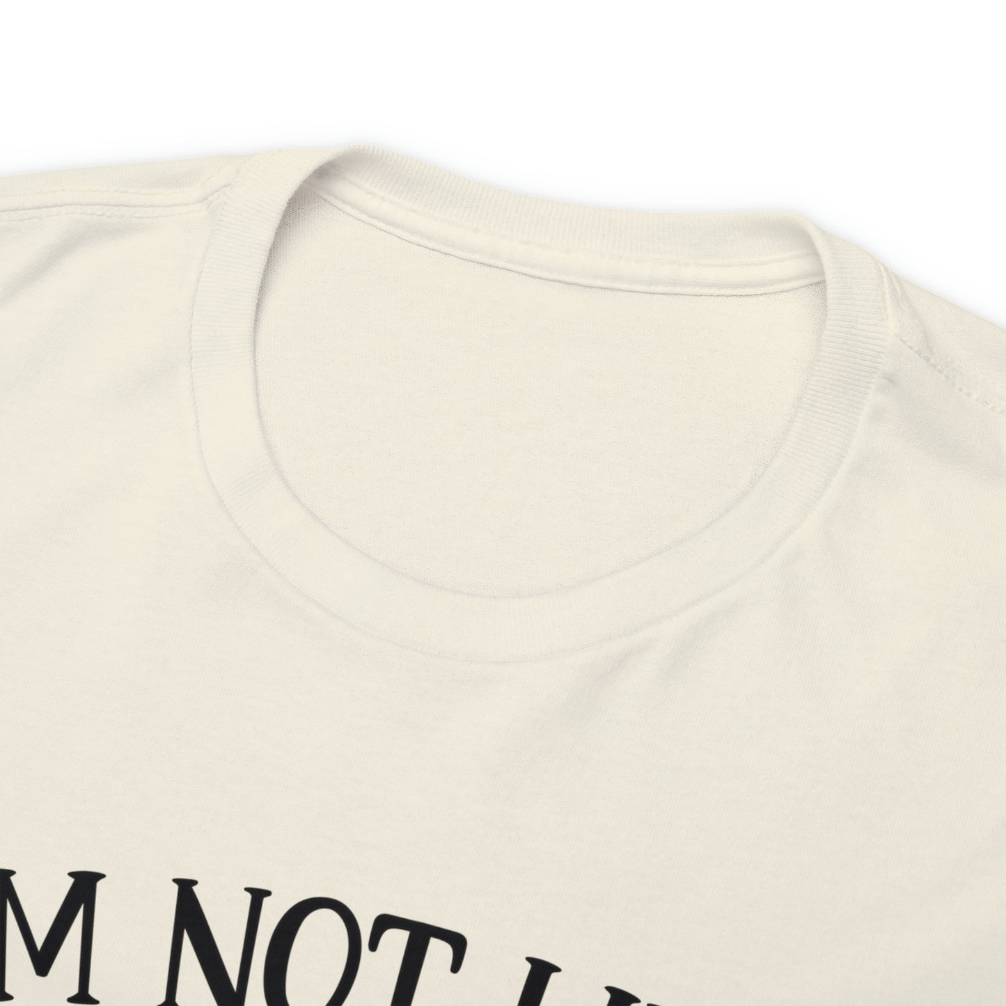I'm Not Like a Regular Mom I'm a Cat Mom Tee