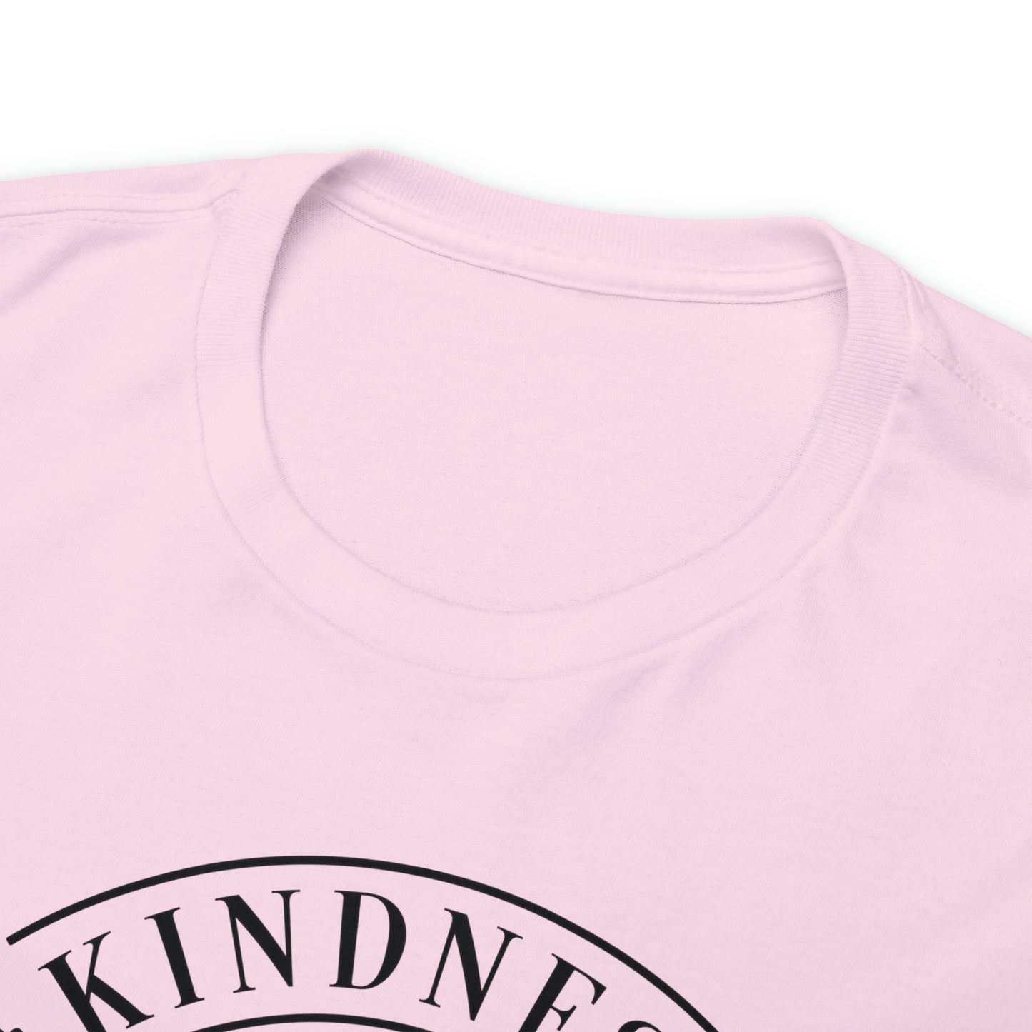 Kindness Matters More Than You Think Tee