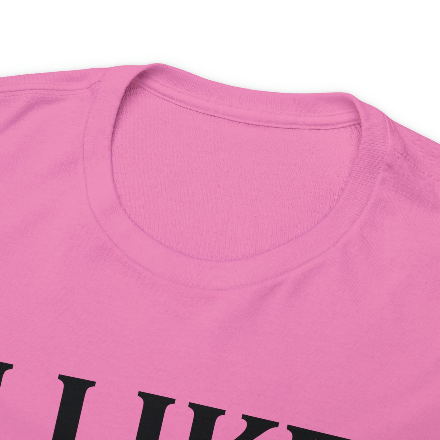 I Like to Stay Home with My Dog Unisex Tee
