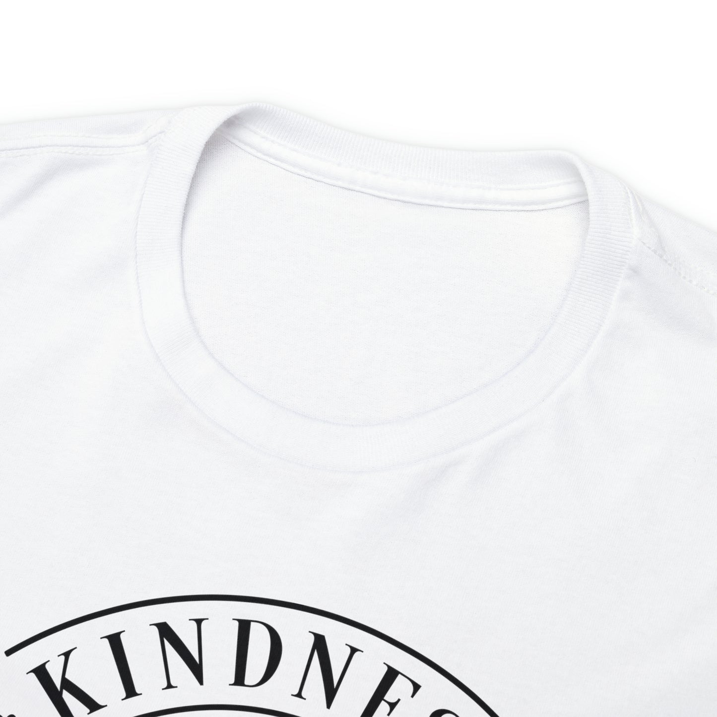 Kindness Matters More Than You Think Tee