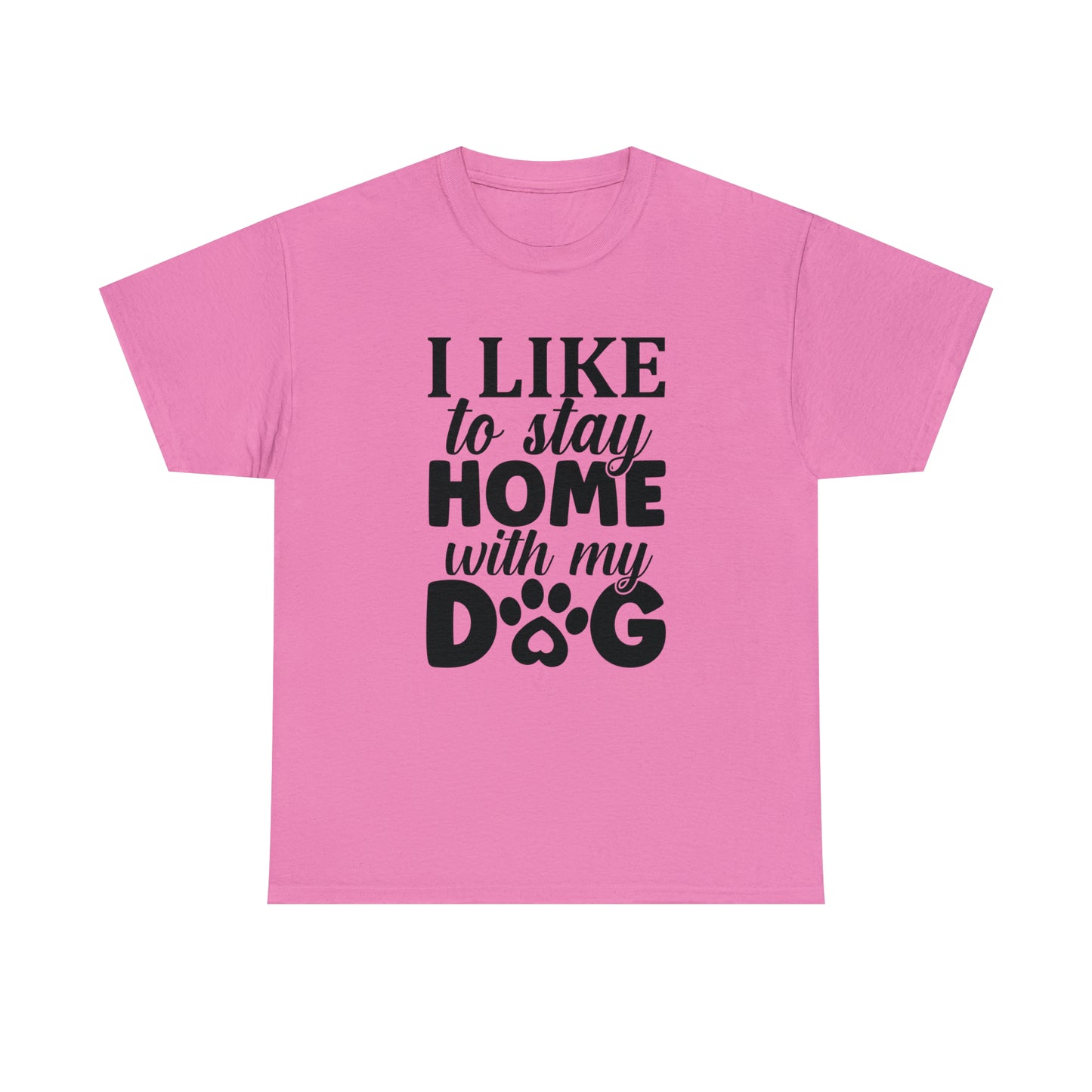 I Like to Stay Home with My Dog Unisex Tee