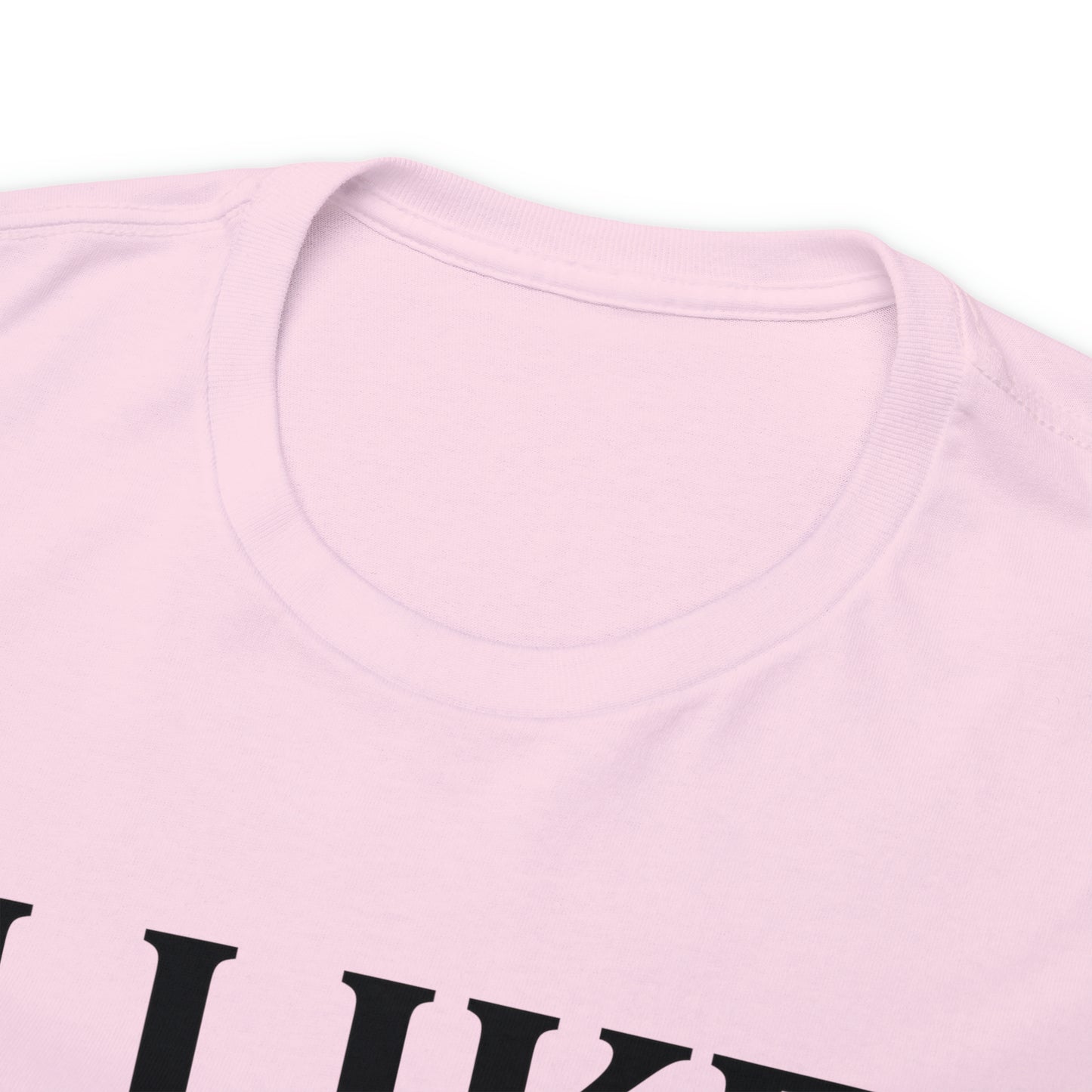 I Like to Stay Home with My Dog Unisex Tee