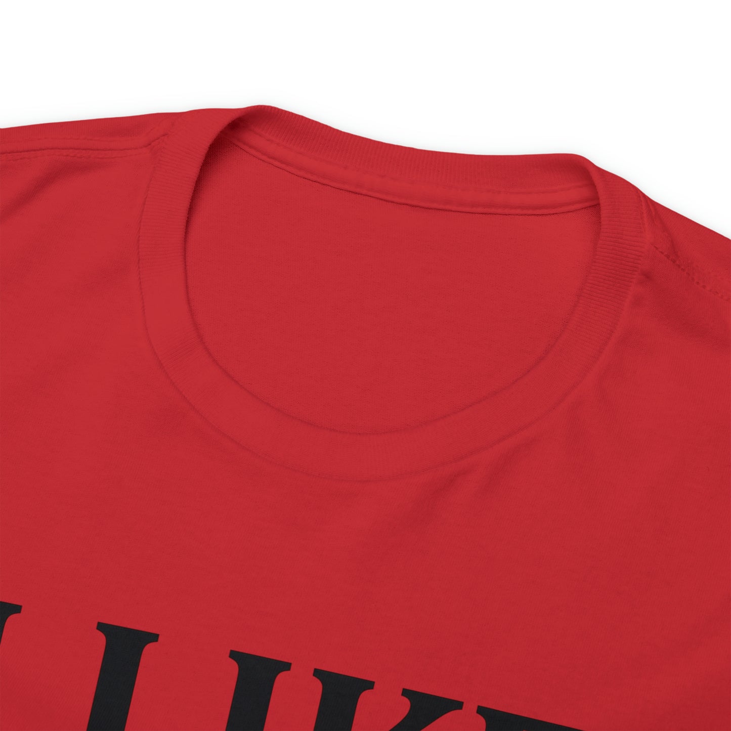 I Like to Stay Home with My Dog Unisex Tee