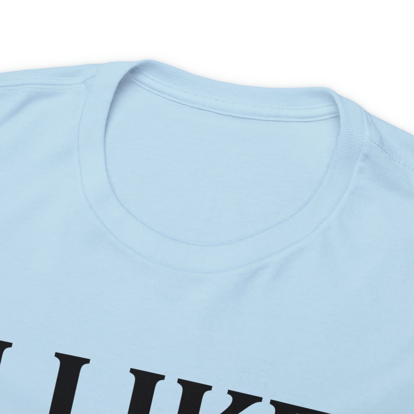 I Like to Stay Home with My Dog Unisex Tee